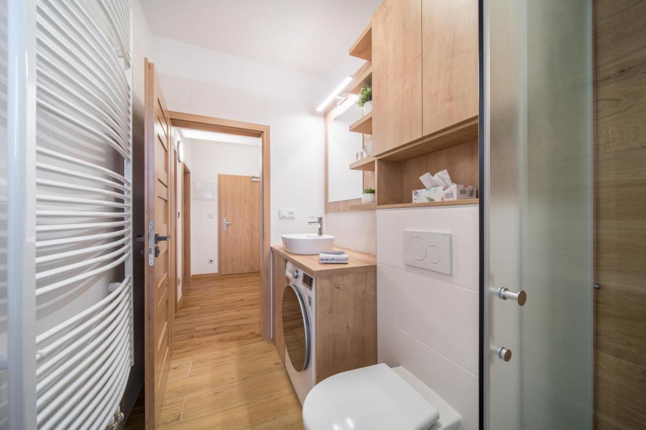 Apartman U Sucheho Buku - Bukova Hora Červená Voda Екстериор снимка